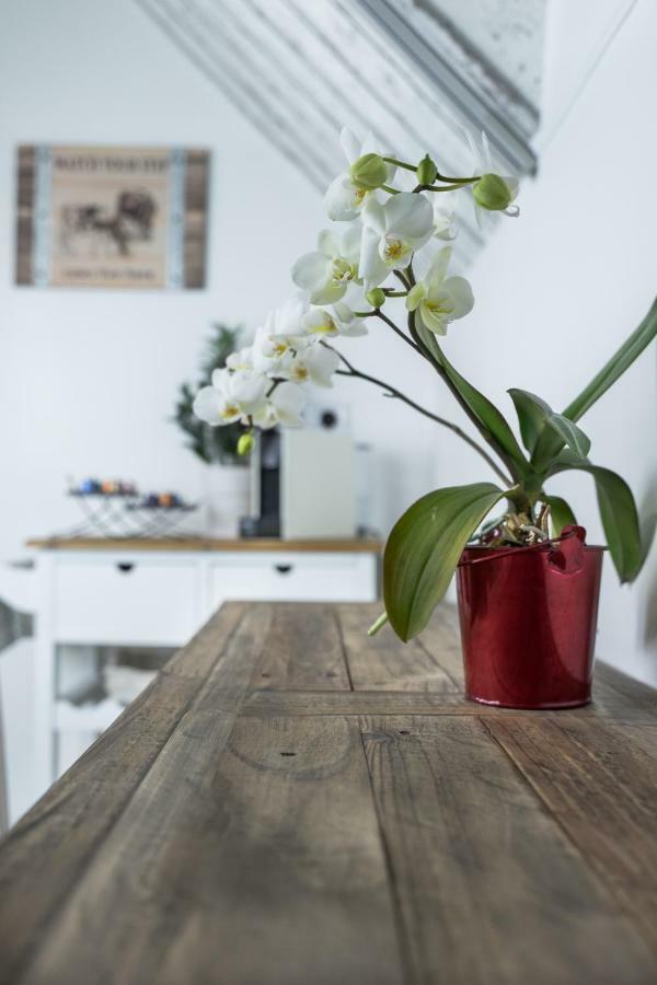 エゲルFarmhouse Apartmanアパートメント エクステリア 写真