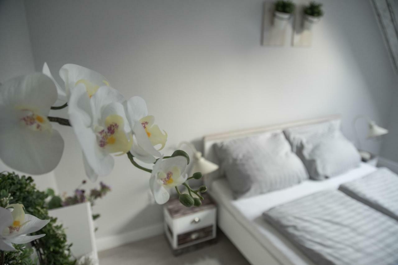 エゲルFarmhouse Apartmanアパートメント エクステリア 写真